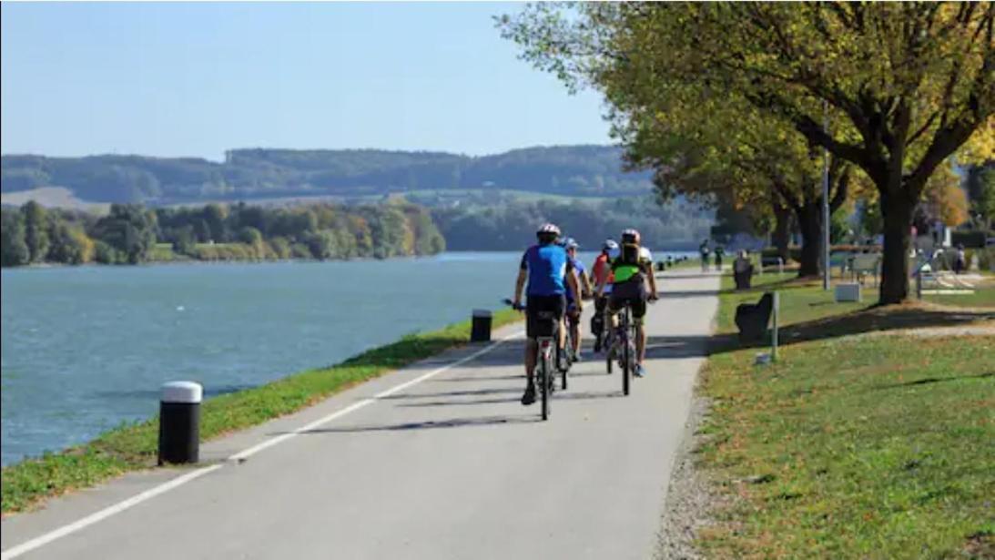 Apartment, 3375 Krummnussbaum An Der Donau Krumnussbaum Værelse billede